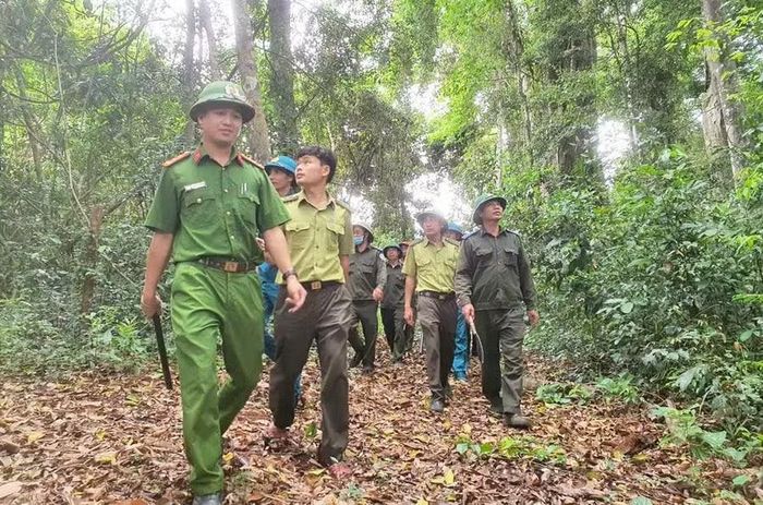  Lực lượng Kiểm lâm, Công an xã và đơn vị chủ rừng tổ chức tuần tra bảo vệ rừng. Ảnh: Minh Phương 