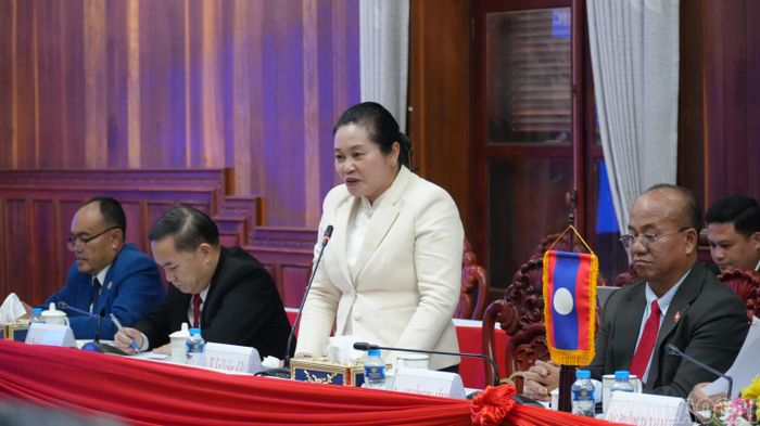 Đại diện sở, ngành tỉnh Xay Nhạ Bu Ly phát biểu tại cuộc hội đàm.