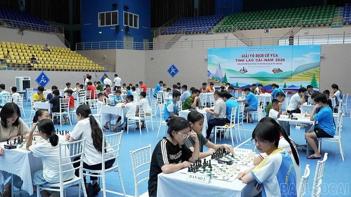 Cờ vua là môn thứ 12 trong tổng số 18 môn thi đấu của Đại hội Thể dục thể thao tỉnh Lào Cai lần thứ I, năm 2026.