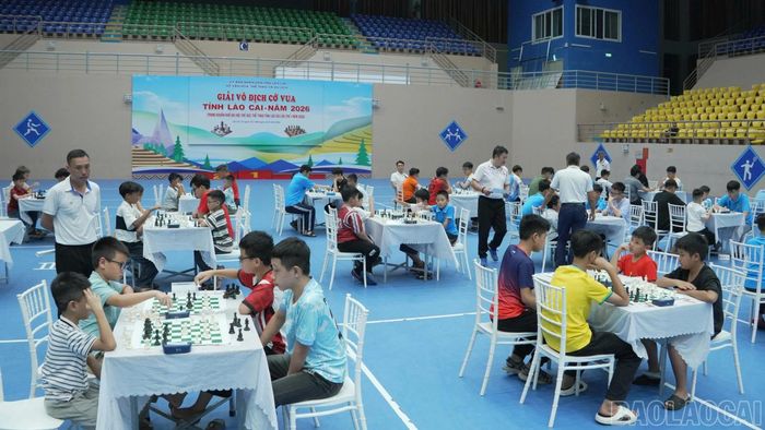 Các kỳ thủ tranh tài tại các nội dung thi đấu.