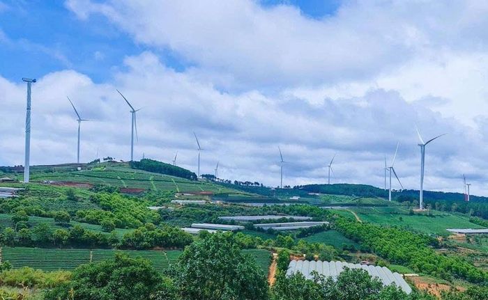 Dự án Nhà máy điện gió Cầu Đất dù đã hoàn thiện công tác xây dựng cơ bản nhưng chưa thể vận hành kinh doanh