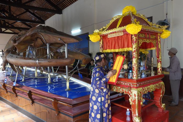 Ban Tổ chức Dinh Vạn Thủy Tú đang chuẩn bị hiện các nghi lễ cúng bộ xương cá Ông lớn nhất Đông Nam Á