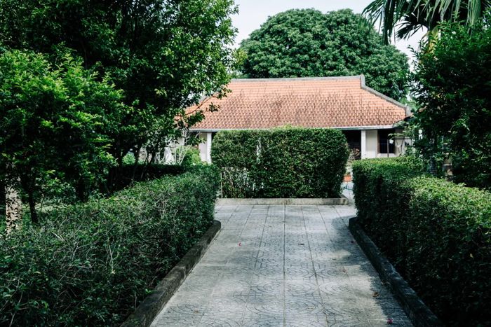Ngõ nhà bằng chè tàu làng Hội Kỳ 