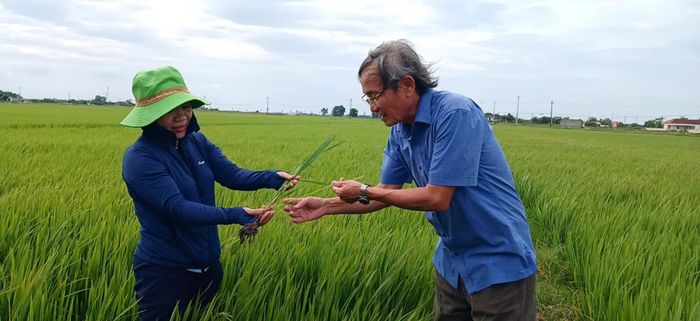 Đổi mới tư duy sản xuất bắt đầu từ những buổi hướng dẫn kỹ thuật ngay trên đồng ruộng - Ảnh: N.B