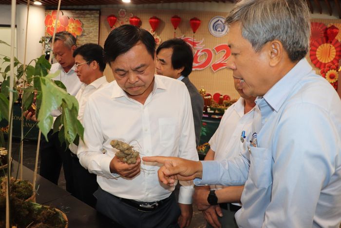 Phó chủ tịch UBND TP Đà Nẵng Hồ Quang Bửu (bên phải) và Thứ trưởng Bộ Nông nghiệp và Môi trường Nguyễn Hoàng Hiệp tham quan các gian hàng, khu trưng bày sâm Ngọc Linh tại lễ hội (Ảnh: Thanh Đức).