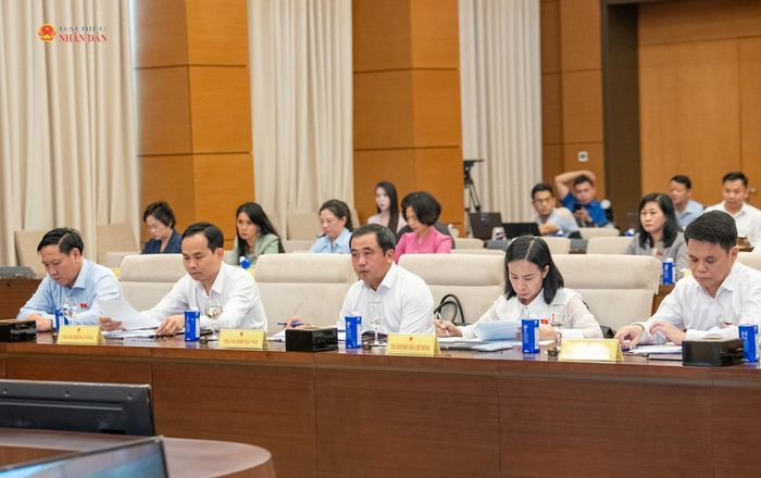 Các đại biểu dự hội nghị