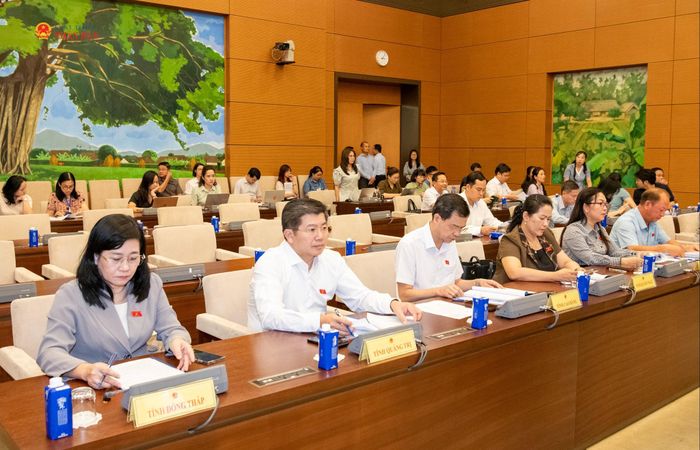 Các đại biểu dự hội nghị