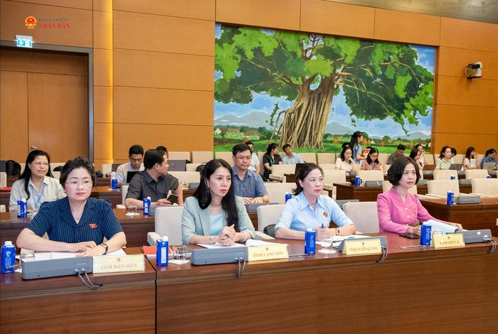 Các đại biểu dự hội nghị