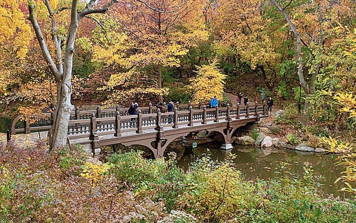 New York vào tháng 10 là một trong những trải nghiệm du lịch mùa thu tuyệt nhất. Với những cây du Mỹ ở Công viên Trung tâm chuyển sang màu vàng óng và cầu Bow Bridge tạo nên khung cảnh phản chiếu mùa thu đầy mê hoặc. Ảnh: theinsatiabletraveler