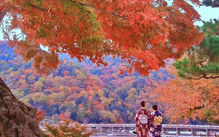 Nằm ở vùng ngoại ô phía Tây cố đô Kyoto của Nhật Bản, Arashiyama là một khu danh lam thắng cảnh nổi tiếng, đặc. biệt là với vẻ đẹp rực rỡ của koyo (mùa lá thu chuyển màu). Ảnh: travel.rakuten