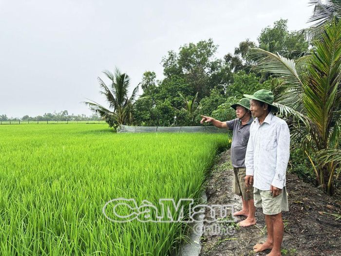 Sau những năm tháng chiến đấu, cha tôi gắn bó với ruộng đồng, cần cù làm lụng để nuôi các con khôn lớn.