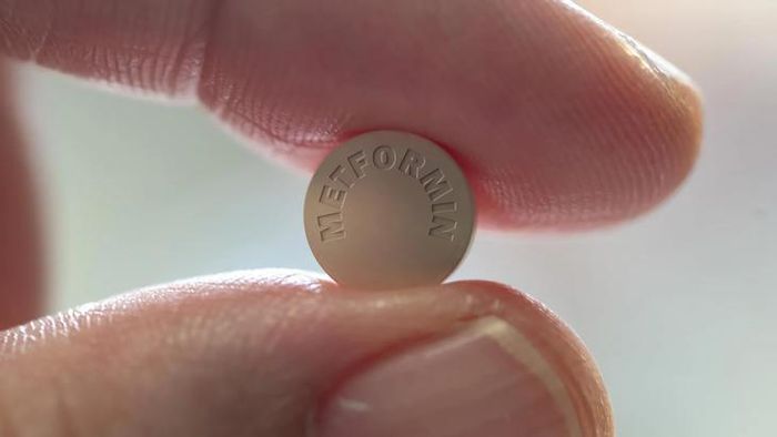 Metformin là lựa chọn hàng đầu trên toàn cầu trong điều trị đái tháo đường type 2 nhờ hiệu quả cao, chi phí hợp lý và độ an toàn đã được kiểm chứng qua thời gian. Ảnh: Shutterstock