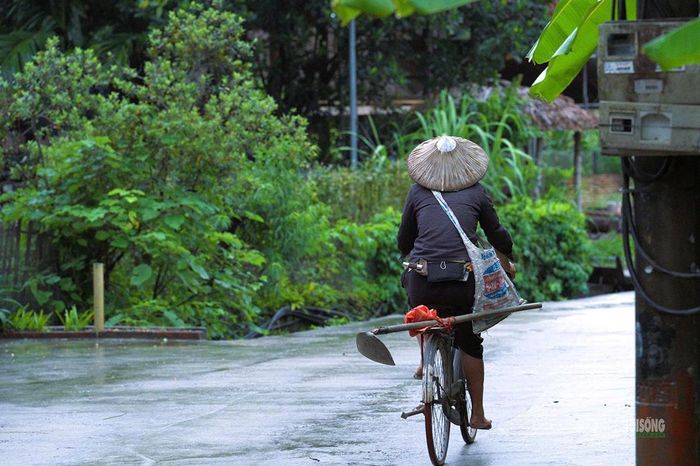 Người dân đạp xe trở về sau buổi làm đồng. Ảnh: T. Anh