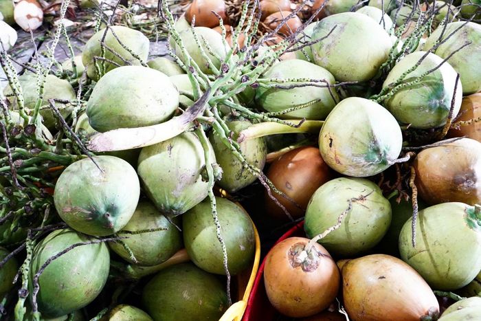  Các sản phẩm chế biến từ dừa chiếm lĩnh thị trường. Ảnh: Anh Nguyễn.