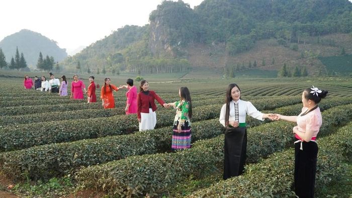 Từ chợ phiên, du khách có thể tham quan quần thể du lịch Pha Đin Top, ngắm núi non trùng điệp và ghé thăm đồi chè Bình Thuận xanh mướt, bình yên