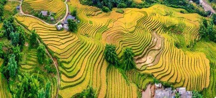 Lào Cai hỗ trợ phát triển du lịch cộng đồng và điểm du lịch qua hình thức cho vay vốn ưu đãi