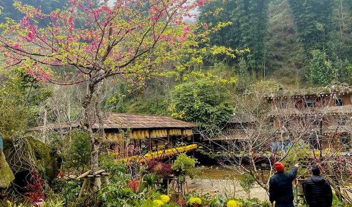 Chính sách hỗ trợ của Lào Cai tạo nên mối liên kết giữa phát triển kinh tế và bảo tồn di sản