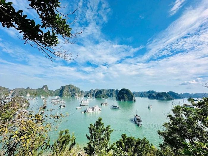 Tỉnh Quảng Ninh xác định di sản là lõi, công nghiệp văn hóa là công cụ chuyển hóa. Ảnh QN