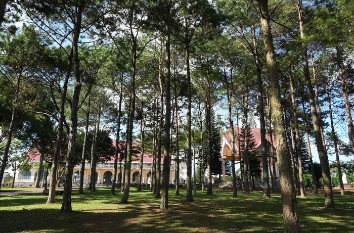 Những mảng xanh trong khuôn viên Nhà thờ Tân Hà được gìn giữ, tạo điểm nhấn cho trung tâm ngôi làng “Hà Nội mới”. Ảnh: Nguyễn Dũng – TTXVN