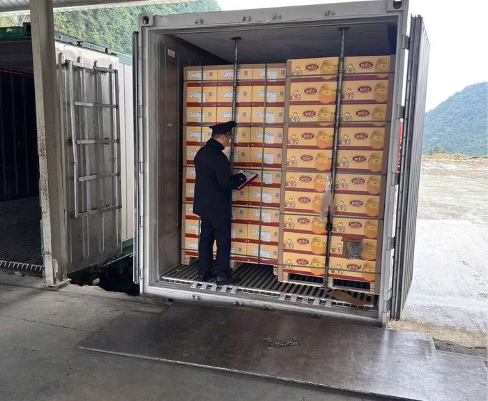 Công chức hải quan kiểm tra thực tế hàng hóa tại cửa khẩu Tân Thanh (Lạng Sơn).