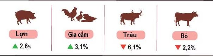 Tốc độ tăng, giảm số lượng gia súc, gia cầm cuối tháng 7/2026 so với cùng thời điểm năm 2025. (Nguồn: Cục Thống kê)