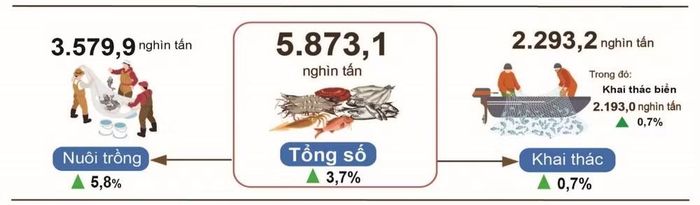 Sản lượng thủy sản 7 tháng năm 2026 so với cùng kỳ năm 2025. (Nguồn: Cục Thống kê)