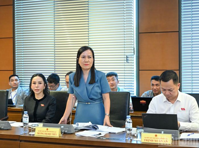 Đại biểu Quốc hội thành phố Đồng Nai Trương Thị Diệu Thúy phát biểu thảo luận.