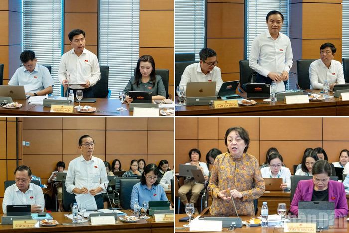 Đại biểu Quốc hội Thành phố Hồ Chí Minh phát biểu ý kiến thảo luận tại tổ.