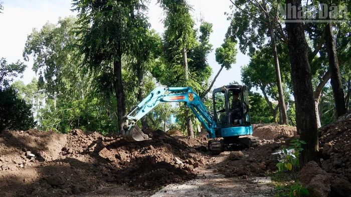 Khu B có địa hình đồi đất cao.