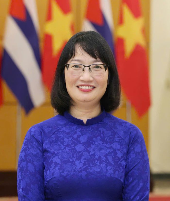 ĐB TRẦN THỊ DIỆU THÚY, Phó trưởng Đoàn chuyên trách Đoàn ĐB Quốc hội TPHCM