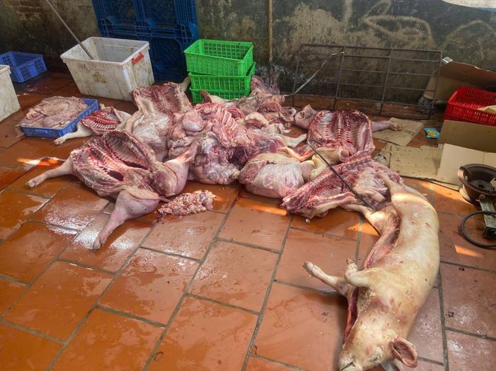  Hiện trường pha chế thịt heo nghi nhiễm bệnh tại phường Mỹ Hào (tỉnh Hưng Yên). Ảnh: DMS 