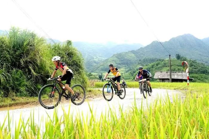 Anh Đỗ Đoàn Điền - thành viên Câu lạc bộ Xe đạp thể thao Chiến khu Đông Triều, Quảng Ninh - cho biết những thửa ruộng bậc thang vàng óng trải dài nối tiếp nhau mang đến khung cảnh ấn tượng. Theo anh, hành trình này không đơn thuần là một cuộc đua mà còn là dịp để các vận động viên và du khách ngắm nhìn vẻ đẹp thiên nhiên, trải nghiệm cảnh sắc và nhịp sống vùng cao Mường Bo.