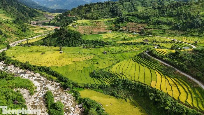 Từ trên cao, những thửa ruộng bậc thang xếp tầng nối tiếp nhau, uốn lượn theo triền núi. Xen giữa màu xanh và vàng của lúa đang chuyển độ là những đường nét mềm mại, trải dài khắp thung lũng.
