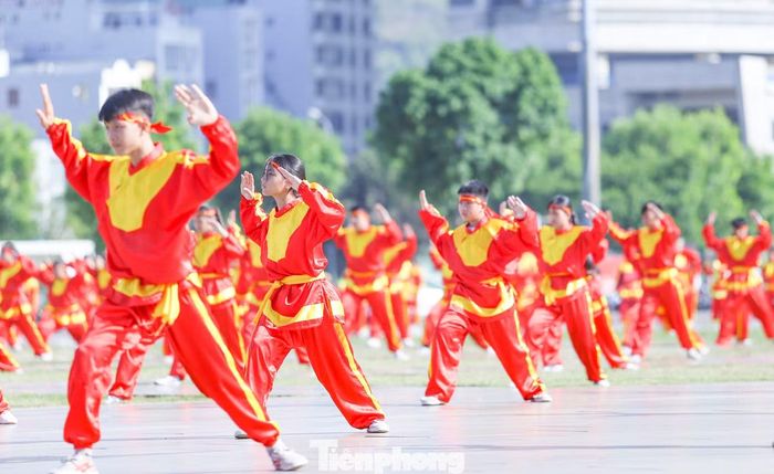 Tham gia chương trình đồng diễn, có hàng trăm võ sinh đến từ các võ đường, câu lạc bộ võ thuật trên địa bàn tỉnh Gia Lai và nhiều tỉnh, thành trong cả nước. Ảnh: Trương Định.