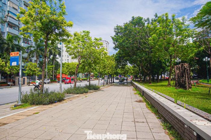 Khu vực vỉa hè phố Thành Thái thông thoáng, xanh ngắt sau khi hạ rào công viên.
