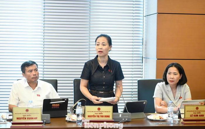 ĐBQH Nguyễn Thị Thu Dung. Ảnh: Như Ý.