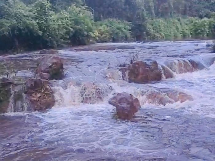 Đề nghị cơ quan Công an, chuyên môn vào cuộc