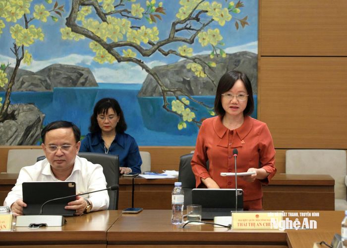 Đại biểu Thái Thị An Chung - Phó trưởng Đoàn chuyên trách Đoàn ĐBQH tỉnh Nghệ An đóng góp ý kiến vào các dự án luật. Ảnh: Khánh Duy
