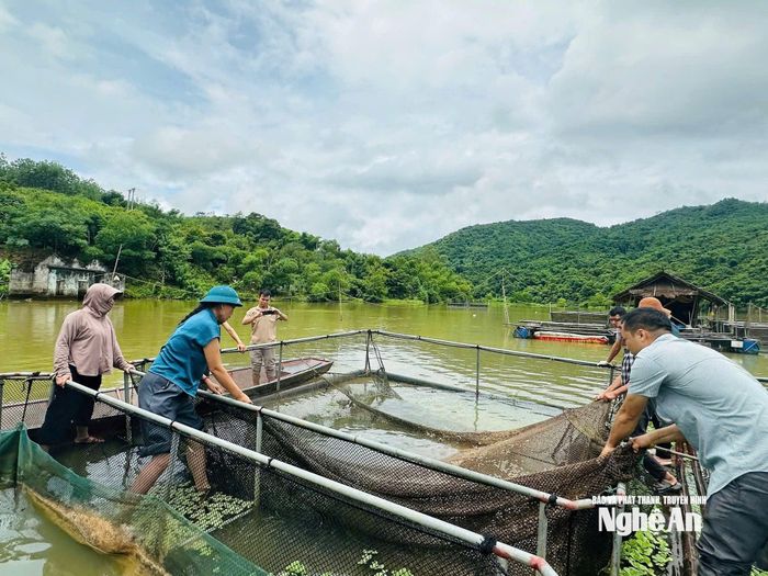 Đoàn công tác của Sở Nông nghiệp và Môi trường kiểm tra tình trạng cá chết ở xã Tam Quang ngày 1/8. Ảnh: Khánh Hiền