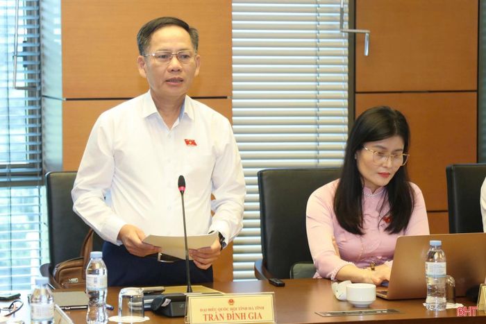 Đại biểu Trần Đình Gia - Phó Trưởng đoàn chuyên trách Đoàn ĐBQH tỉnh Hà Tĩnh tham gia thảo luận.