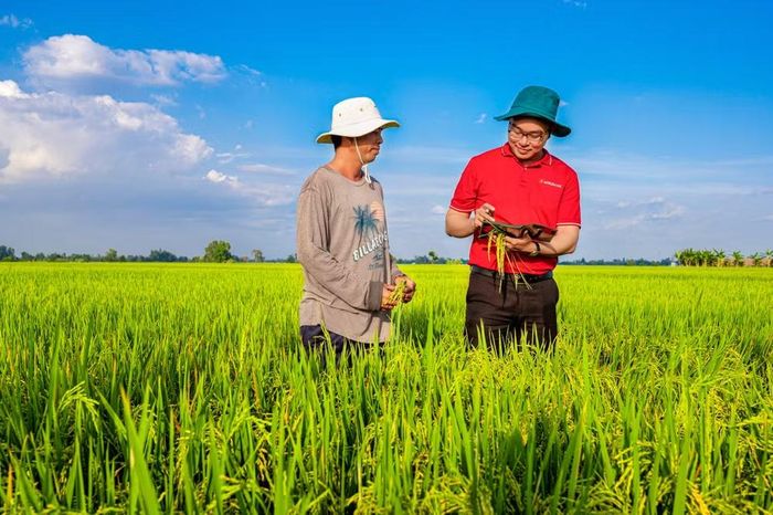 Agribank tiếp tục duy trì quý thứ hai liên tiếp vị trí dẫn đầu về tiền gửi khách hàng, với 2,26 triệu tỷ đồng, tăng hơn 107.000 tỷ đồng. (Ảnh: Vietnam+)