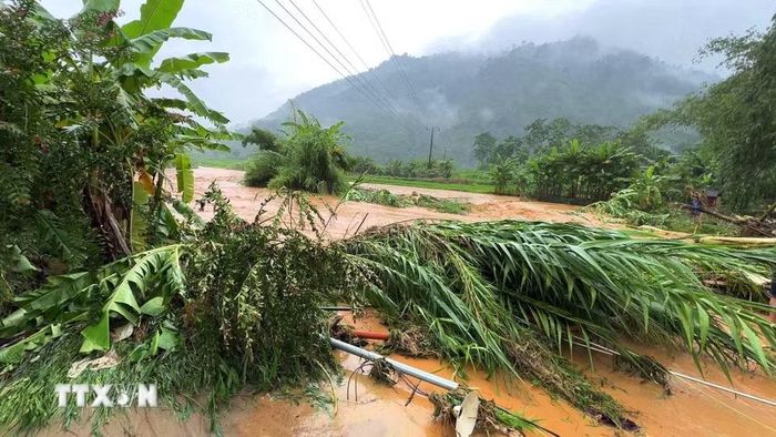 Nước lũ ở xã Xuân Giang (Tuyên Quang) dâng cao, cuốn theo nhiều cây cối và vật dụng.(Ảnh: Minh Tâm/TTXVN)
