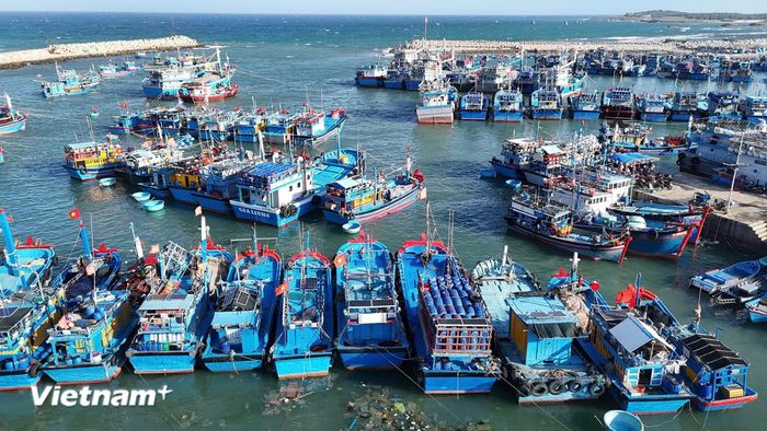 Phát triển kinh tế biển xanh bền vững. (Ảnh: Hoài Nam/Vietnam+)