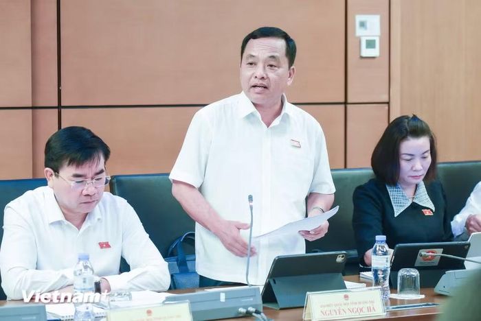 Đại biểu Nguyễn Ngọc Hà, Phó Chủ nhiệm Ủy ban quốc phòng An ninh và Đối ngoại của Quốc hội, đoàn Đại biểu quốc hội tỉnh Quảng Trị. (Ảnh: Thành An/Vietnam+)
