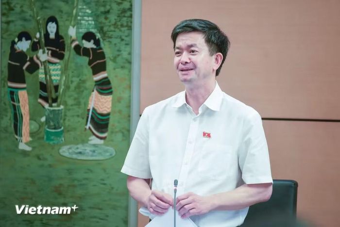 Đại biểu Lê Quang Tùng, Bí thư tỉnh ủy An Giang, Trưởng đoàn Đại biểu Quốc hội tỉnh An Giang. (Ảnh: Thành An/Vietnam+)