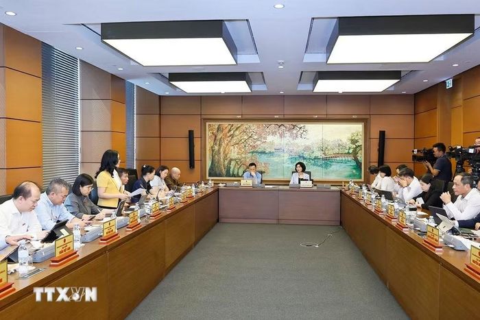 Các Đại biểu Quốc hội thảo luận tại Tổ vào chiều ngày 3/8. (Ảnh: Doãn Tấn/TTXVN)