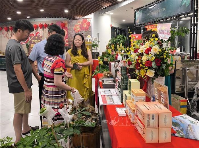 Giới thiệu các sản phẩm công nghiệp dược liệu chiết xuất từ sâm Ngọc Linh.