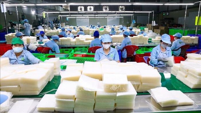 Bánh tráng Tây Ninh thành phẩm được đóng gói, dán nhãn tại Công ty TNHH Tân Nhiên. Ảnh tư liệu: Minh Phú/TTXVN.
