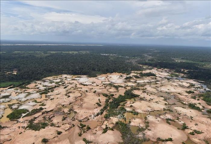 Nhiều khu vực rừng Amazon ở Đông Nam Peru bị tàn phá do hoạt động khai thác mỏ trái phép. Ảnh tư liệu: AFP/TTXVN