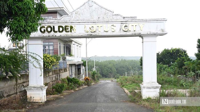 Dự án Golden Lotus City tại xã Đồng Tâm, Tp.Đồng Nai từng được kỳ vọng hình thành khu dân cư mới với hạ tầng đồng bộ. Tuy nhiên, thực tế hiện nay nhiều khu vực trong dự án vẫn bỏ trống, các lô đất chưa được xây dựng, chưa hình thành diện mạo của một khu đô thị như kỳ vọng.